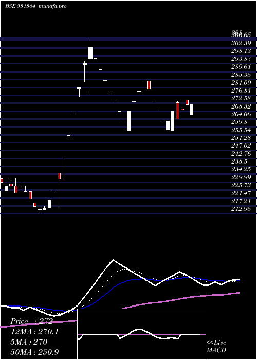  Daily chart Paramone
