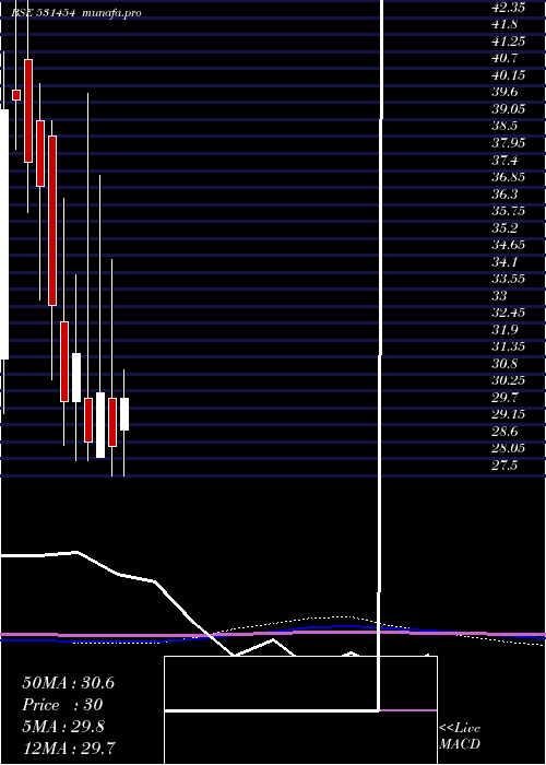monthly chart PolylinkPol