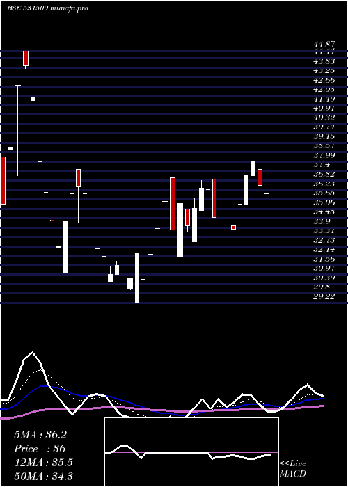  Daily chart StepTwo