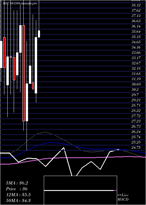  monthly chart StepTwo