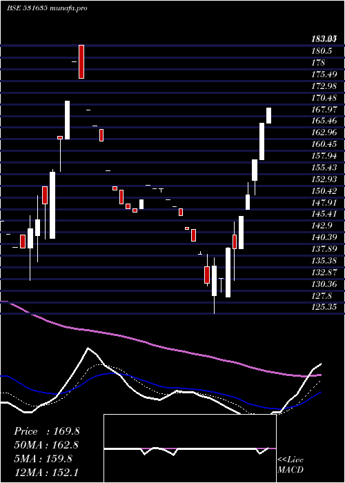 Daily chart SilverOak