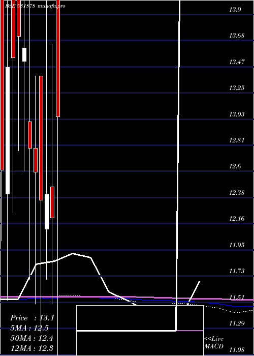 monthly chart AnjaniFinl