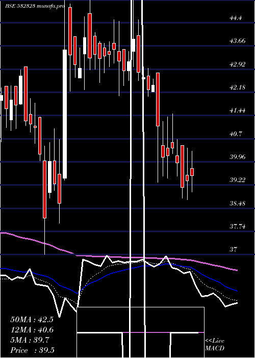  Daily chart ShivaCement