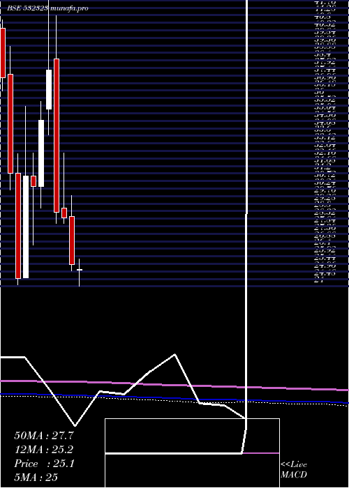 monthly chart ShivaCement