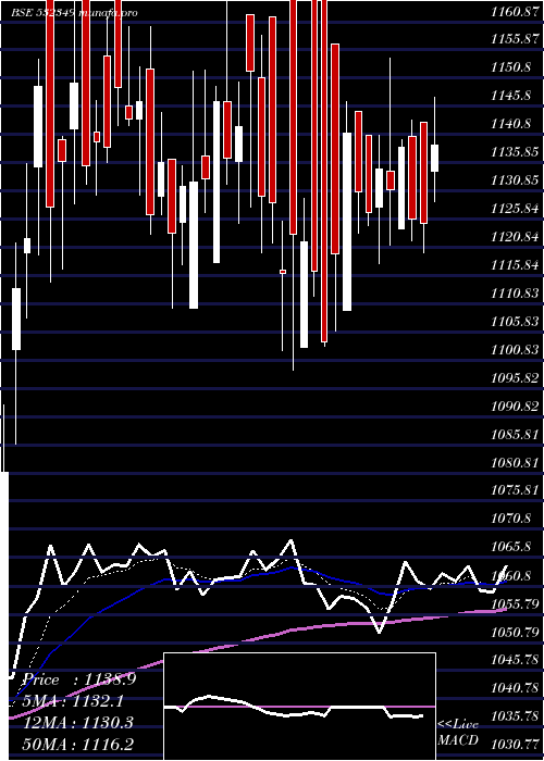  Daily chart TransportCo