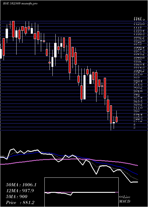  Daily chart Rajapamills