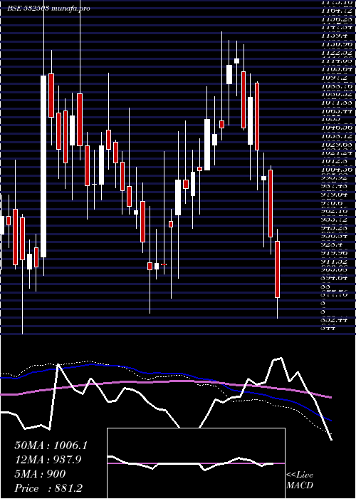  weekly chart Rajapamills