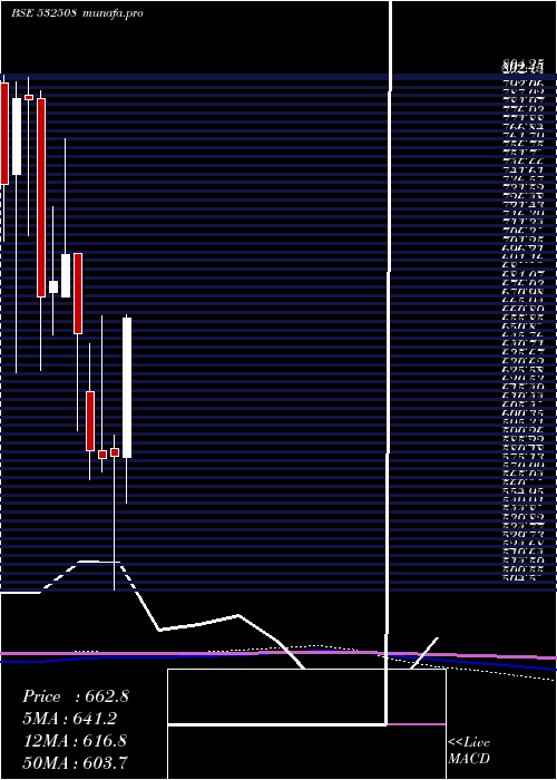 monthly chart Jsl