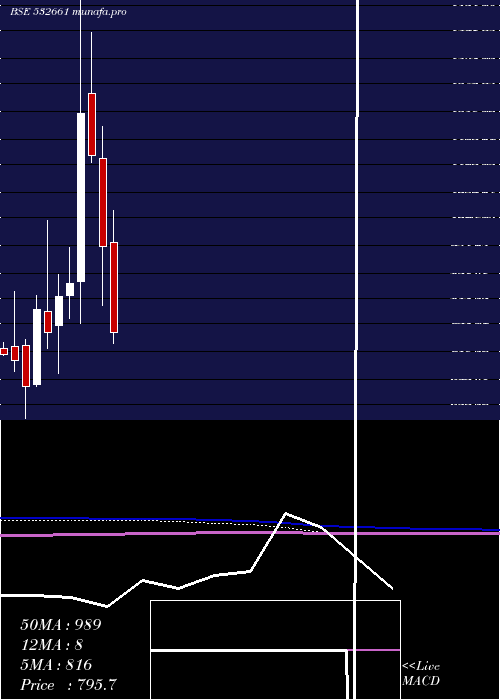  monthly chart RaneMadras