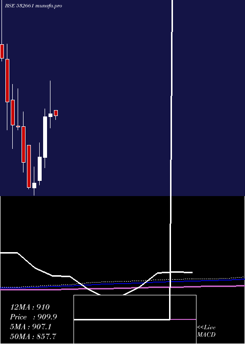 monthly chart RaneMadras