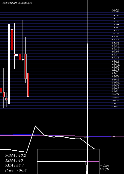  monthly chart MaluPaper