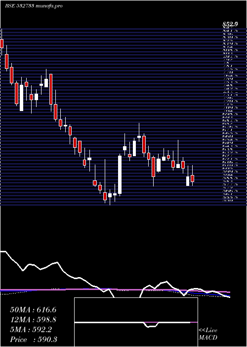 weekly chart SunTvnet