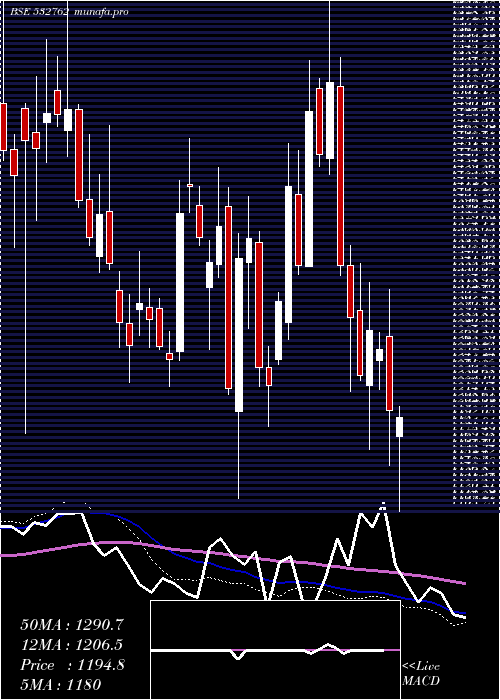  weekly chart ActionConst