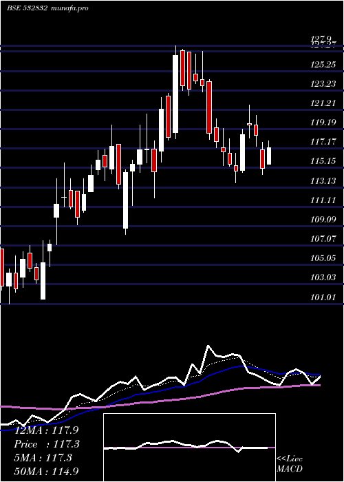 Daily chart IndbulReal