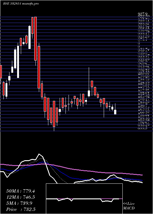 Daily chart Insectcid