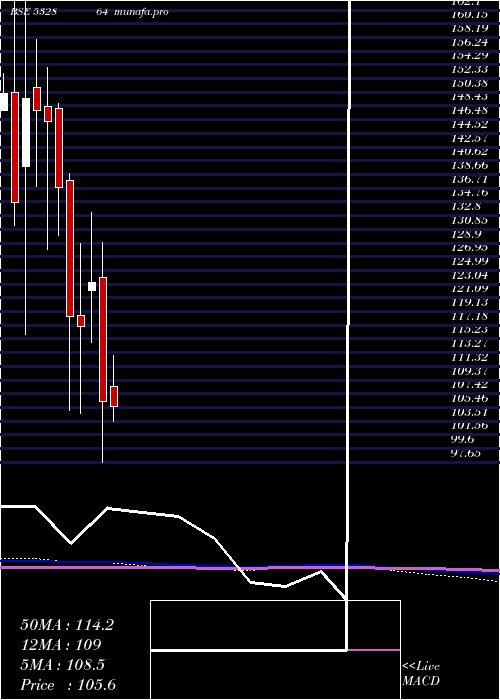  monthly chart Nelcast