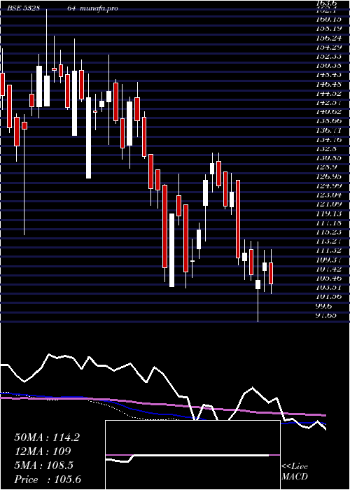  weekly chart Nelcast