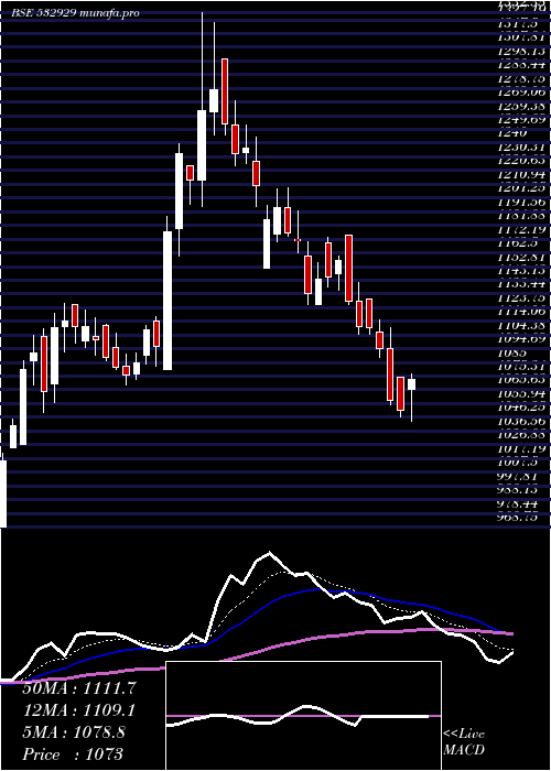  Daily chart Brigade