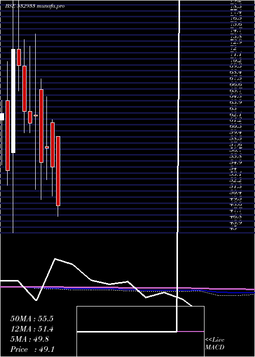  monthly chart PorwalAuto