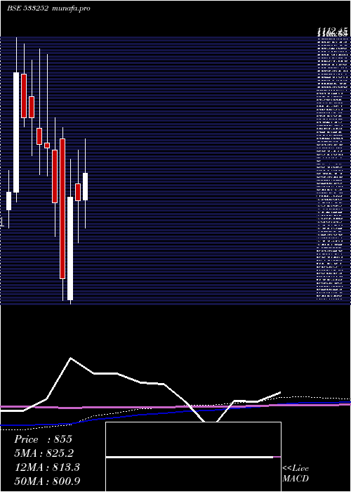 monthly chart WelspunInv