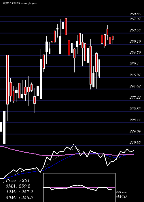 Daily chart Sastasundr