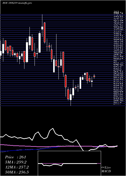 weekly chart Sastasundr