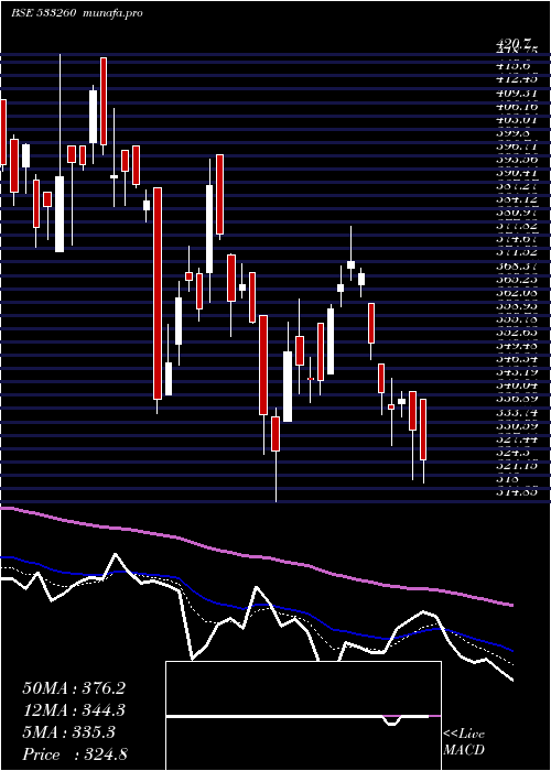  Daily chart Careerp