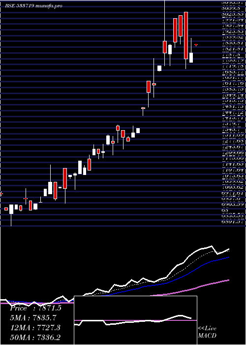  Daily chart Idbigold