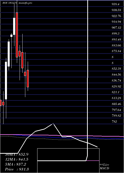  monthly chart Sbisensex