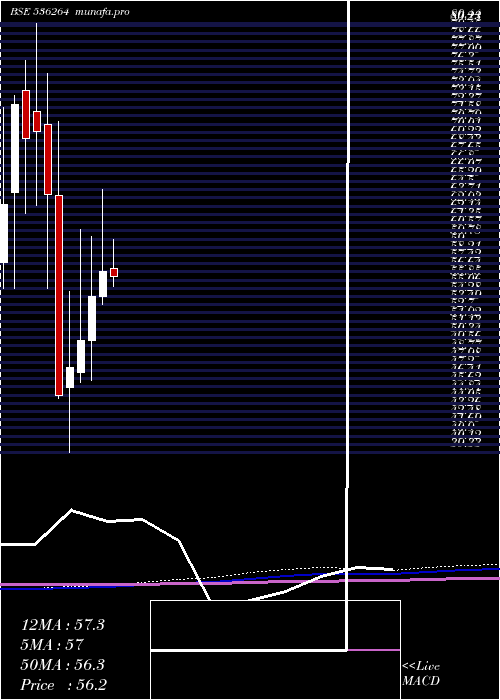  monthly chart TigerLogs