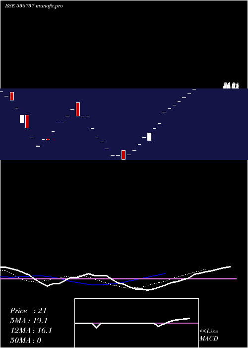  Daily chart AmrapaliCap