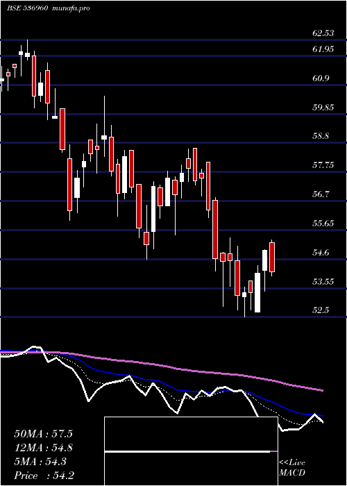  Daily chart M100