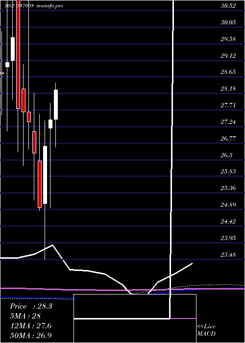 monthly chart Icicinf100