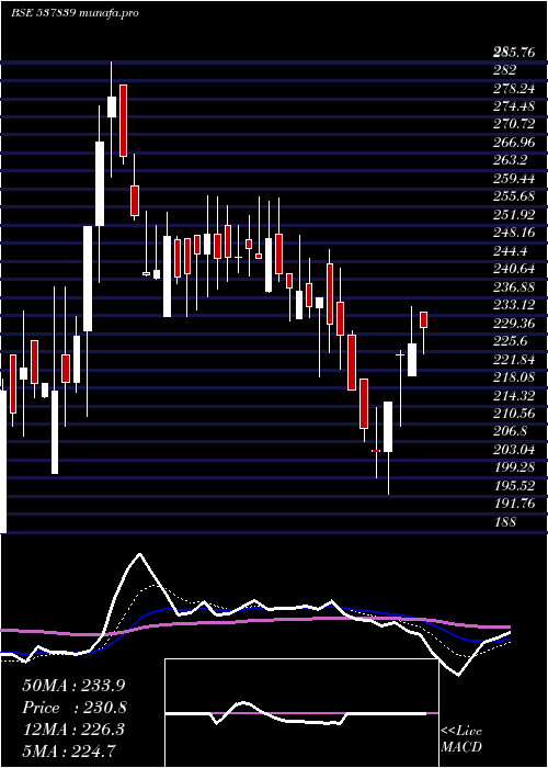 Daily chart PhoenixTn