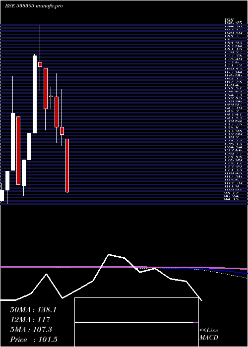  monthly chart NamSec