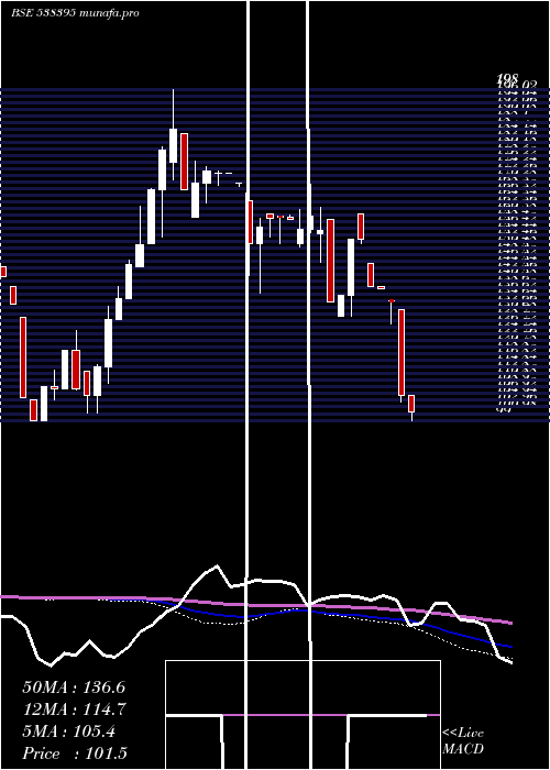  weekly chart NamSec