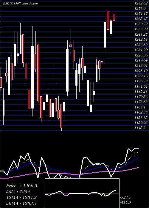  Daily chart GulfoilLub