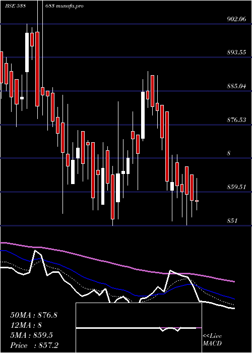  Daily chart Netfsensex