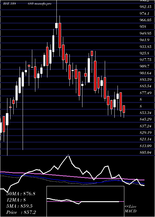  weekly chart Netfsensex