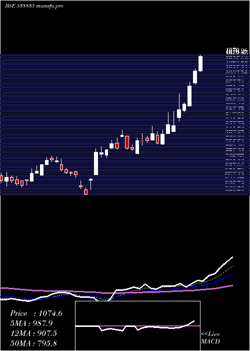 Daily chart Intellect