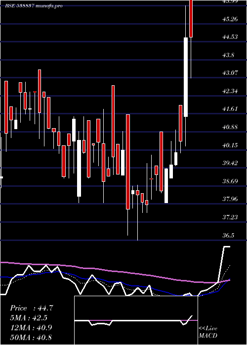 Daily chart Jstl
