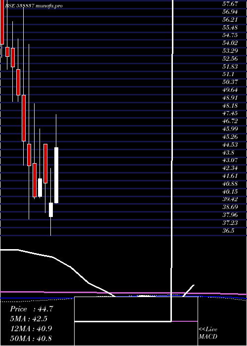 monthly chart Jstl