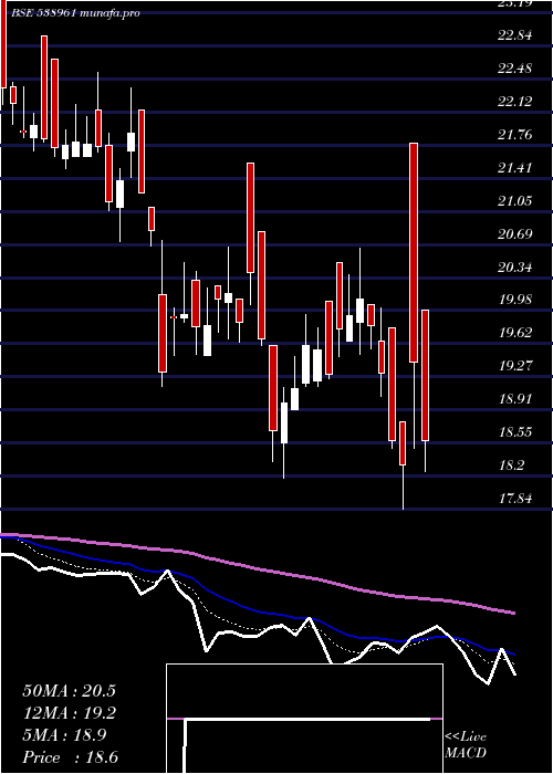  Daily chart Genuspaper