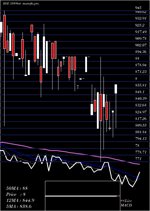  Daily chart Mercurylab