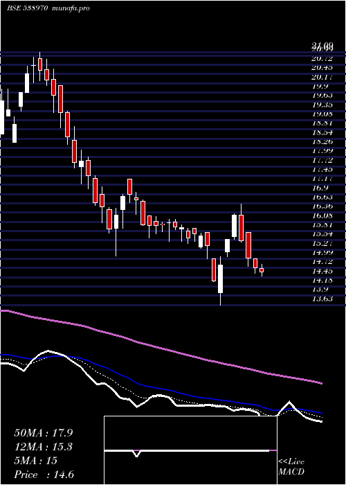  Daily chart Manvijay