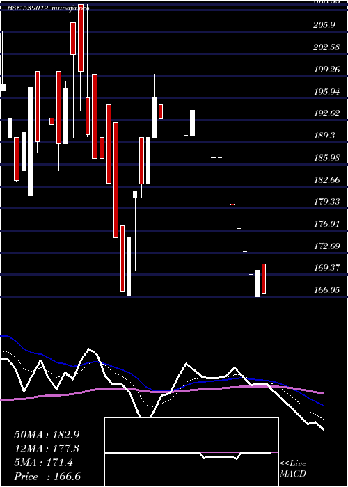  Daily chart Megrisoft