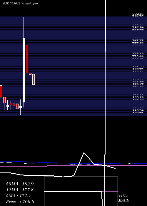  monthly chart Megrisoft