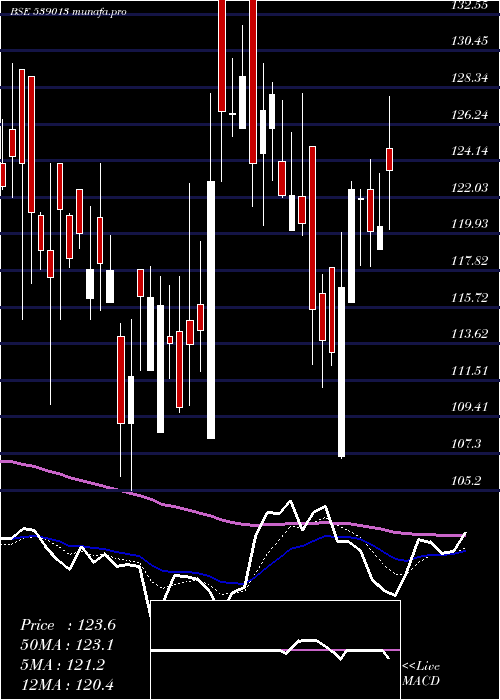 Daily chart Gitarenew