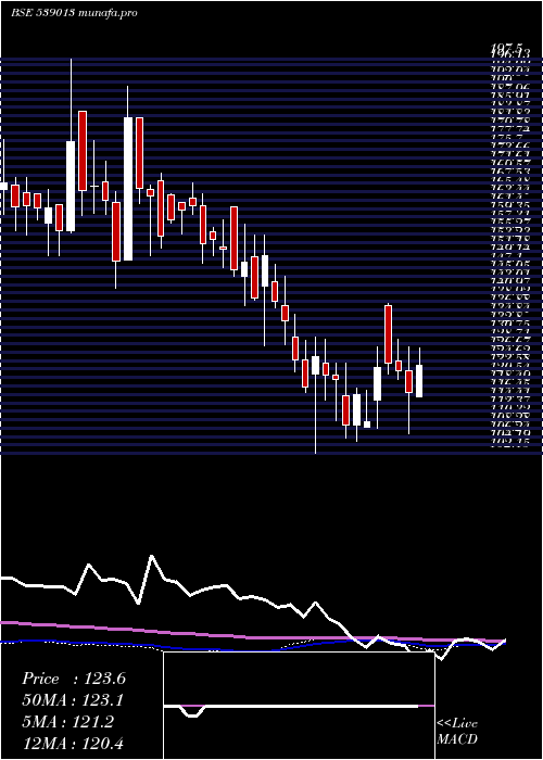weekly chart Gitarenew