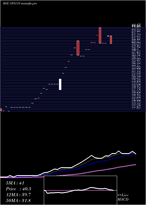 Daily chart Jainmarmo